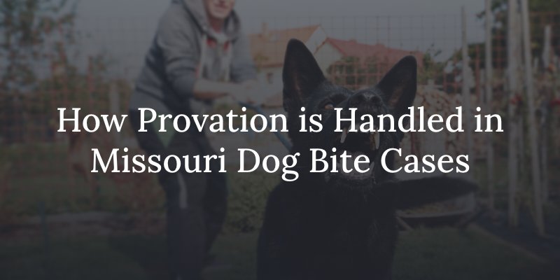 Provocation for missouri dog bites